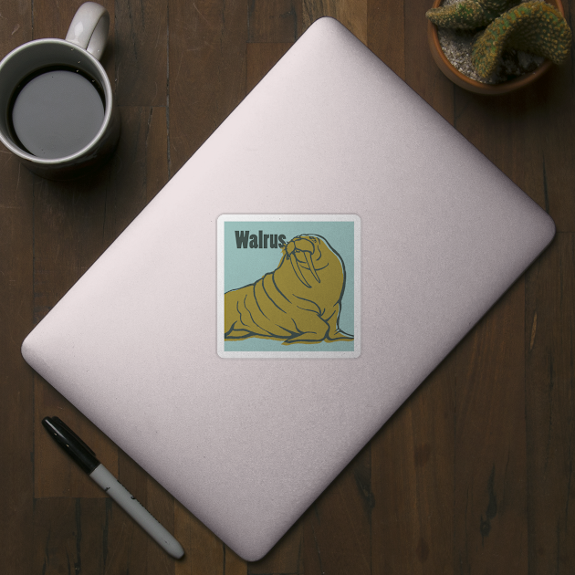 Walrus by dulemba